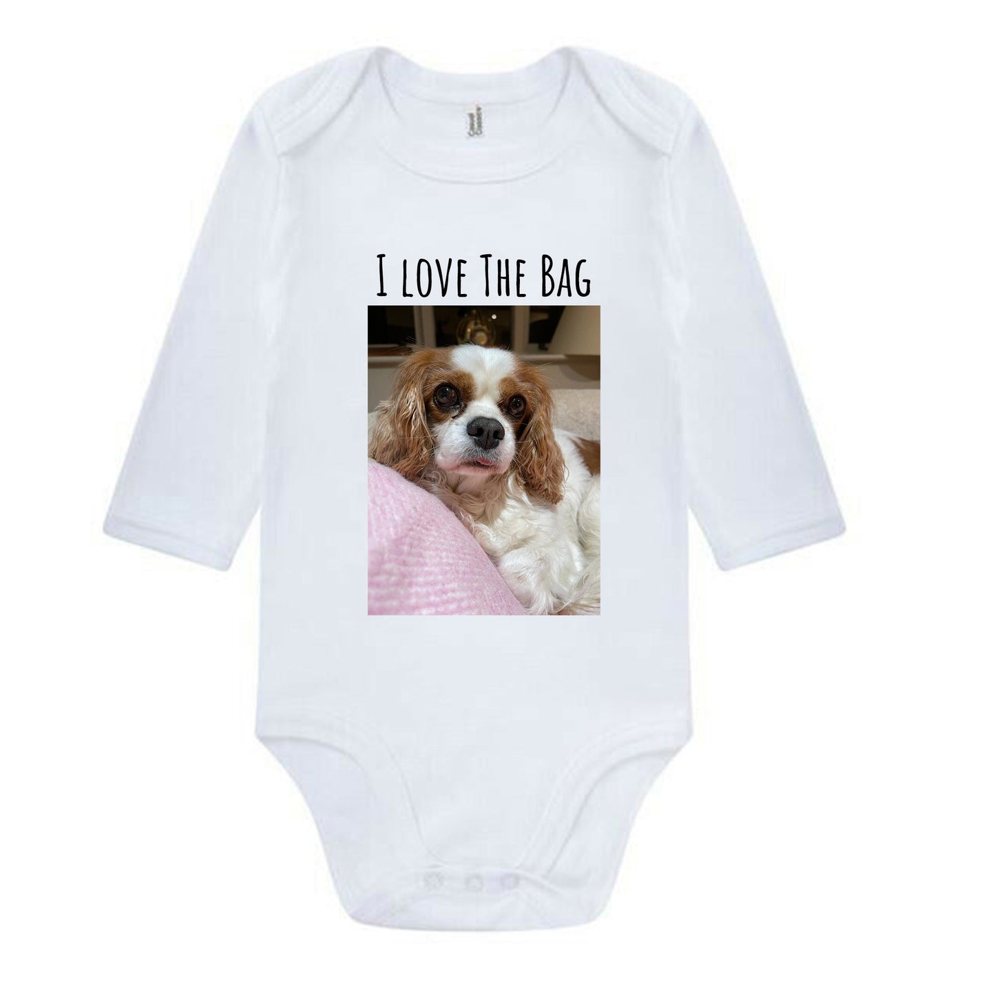 Protected by Dog
